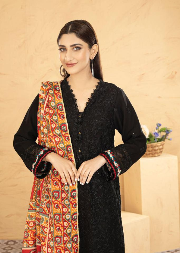 Lush Embroidered Chiffon Chikankari 3 Piece Suit L128