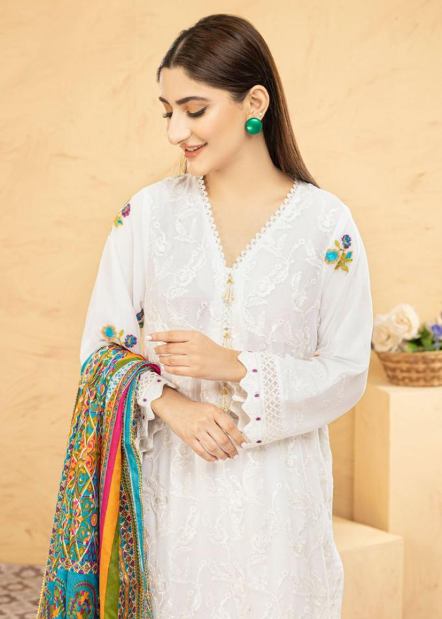 Lush Embroidered Chiffon Chikankari 3 Piece Suit L129