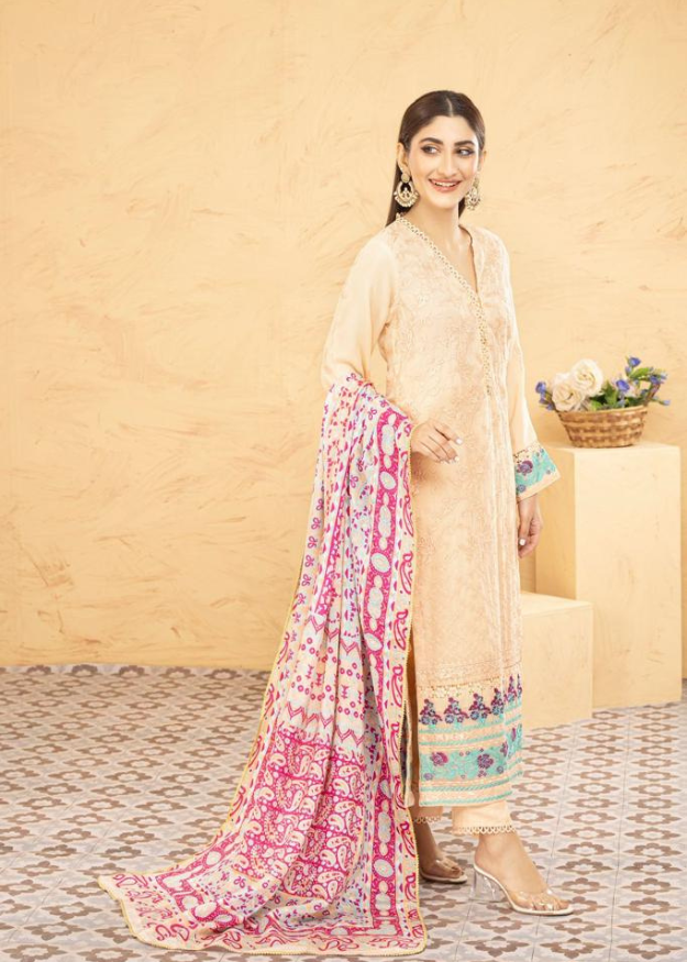Lush Embroidered Chiffon Chikankari 3 Piece Suit L126