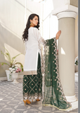 Lush Embroidered Chiffon 3 Piece Suit L103