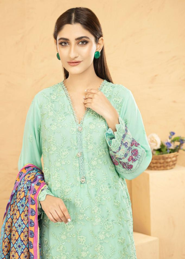 Lush Embroidered Chiffon Chikankari 3 Piece Suit L132