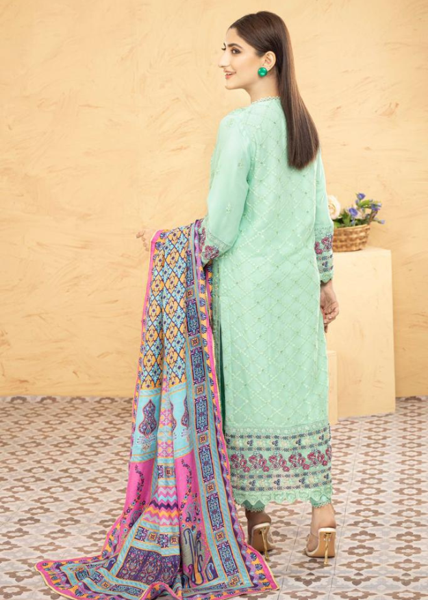 Lush Embroidered Chiffon Chikankari 3 Piece Suit L132