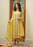 Lush Embroidered Chiffon 3 Piece Suit L121