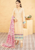 Lush Embroidered Chiffon Chikankari 3 Piece Suit L126