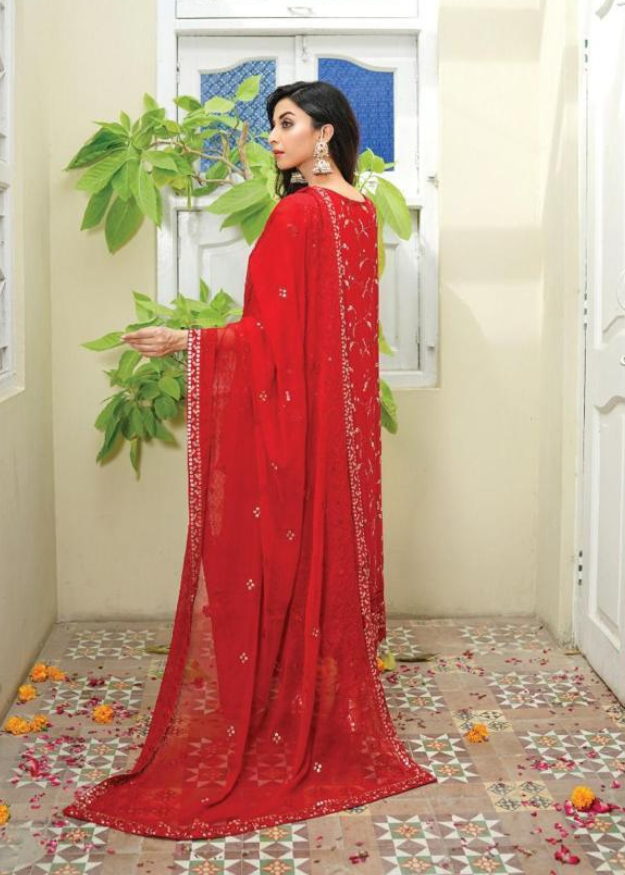 Lush Embroidered Chiffon 3 Piece Suit L123