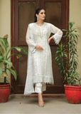 Lush Embroidered Chiffon 3 Piece Suit L124