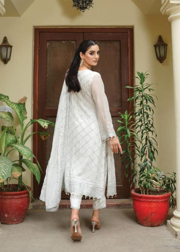 Lush Embroidered Chiffon 3 Piece Suit L124
