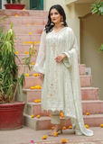 Lush Embroidered Chiffon 3 Piece Suit L125