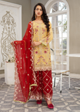 Lush Embroidered Chiffon 3 Piece Suit L101