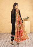 Lush Embroidered Chiffon Chikankari 3 Piece Suit L128