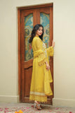 Lush Embroidered Chiffon 3 Piece Suit L121