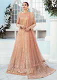 Iznik Embroidered Net 3 Piece suit ICC-07 Rose Quartz