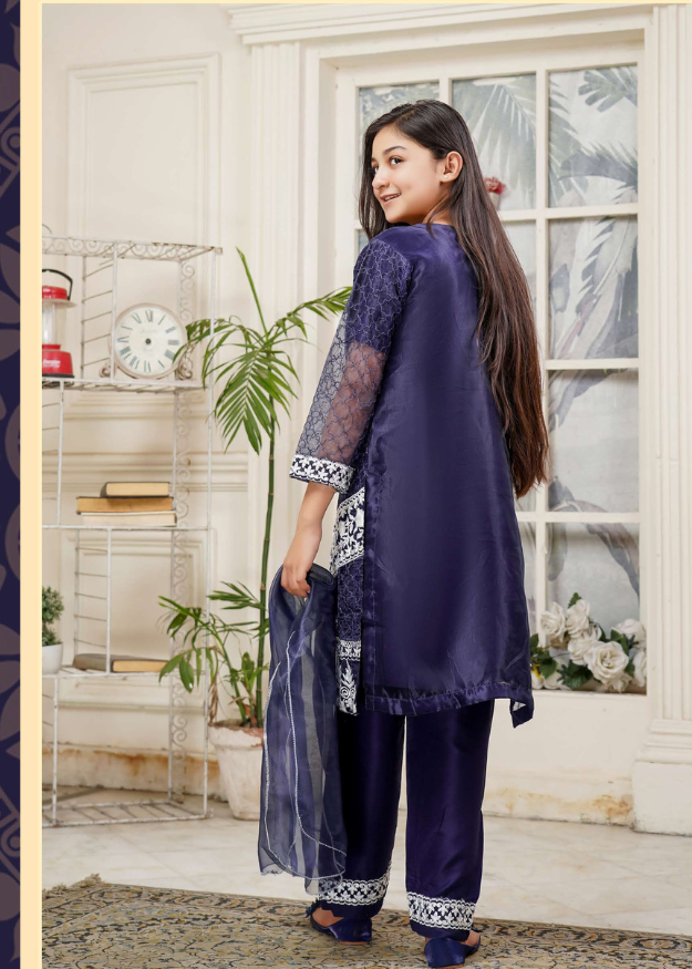 Lush Embroidered Organza 3 Piece Suit L-136