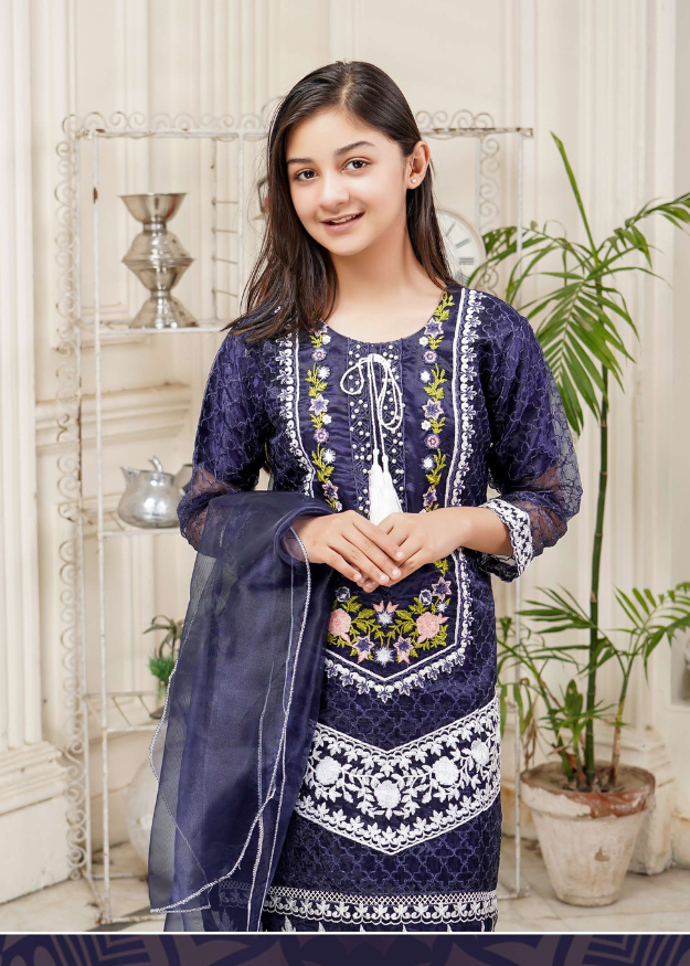 Lush Embroidered Organza 3 Piece Suit L-136