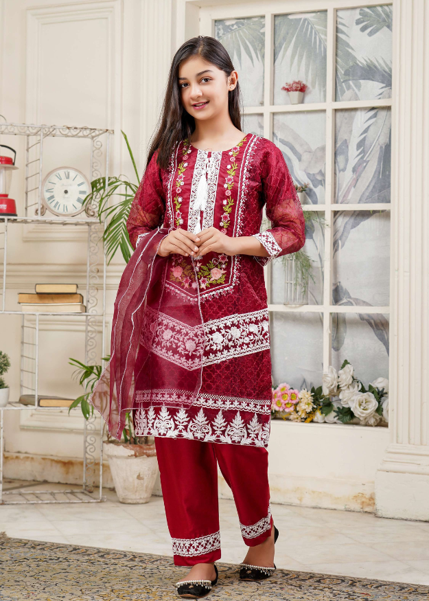 Lush Embroidered Organza 3 Piece Suit L-135
