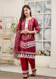 Lush Embroidered Organza 3 Piece Suit L-135