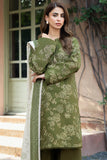 Farasha PK Embroidered Khaddar Suit Olvyn