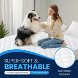 Waterproof Mattress Protector