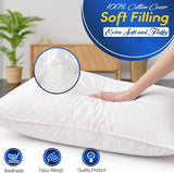 Duck Feather Pillows | 50x75 cm