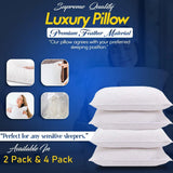 Duck Feather Pillows | 50x75 cm