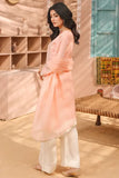 Rang-E-Noor Khadi Net 3 Piece Suit RNF-08