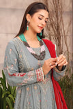 Rang-E-Noor Chiffon 3 piece Suit RN-49