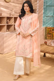 Rang-E-Noor Khadi Net 3 Piece Suit RNF-08