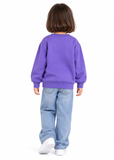Kids Storybook Character Sweatshirt Zog, Stick Man or Room on the Broom