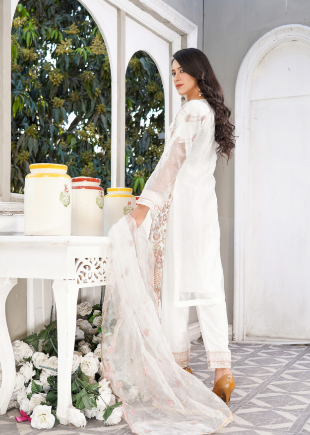 Lush Embroidered Organza 3 Piece Suit L100